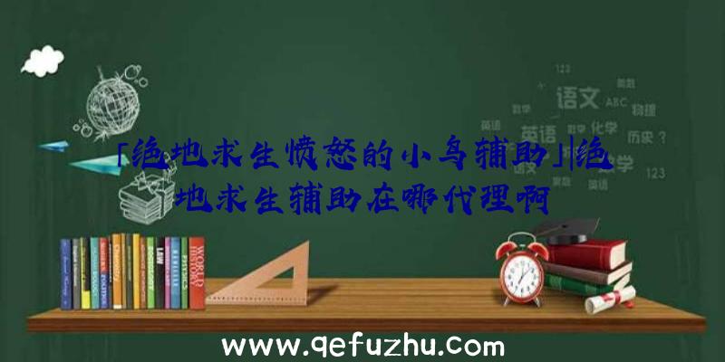 「绝地求生愤怒的小鸟辅助」|绝地求生辅助在哪代理啊